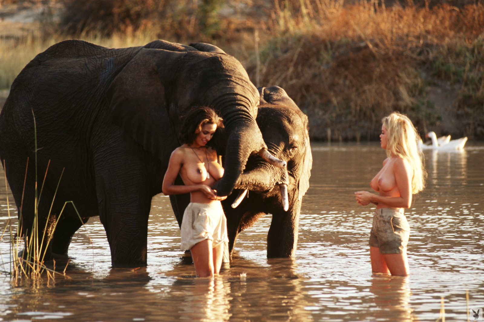 Naked Safari Girls Upskirts